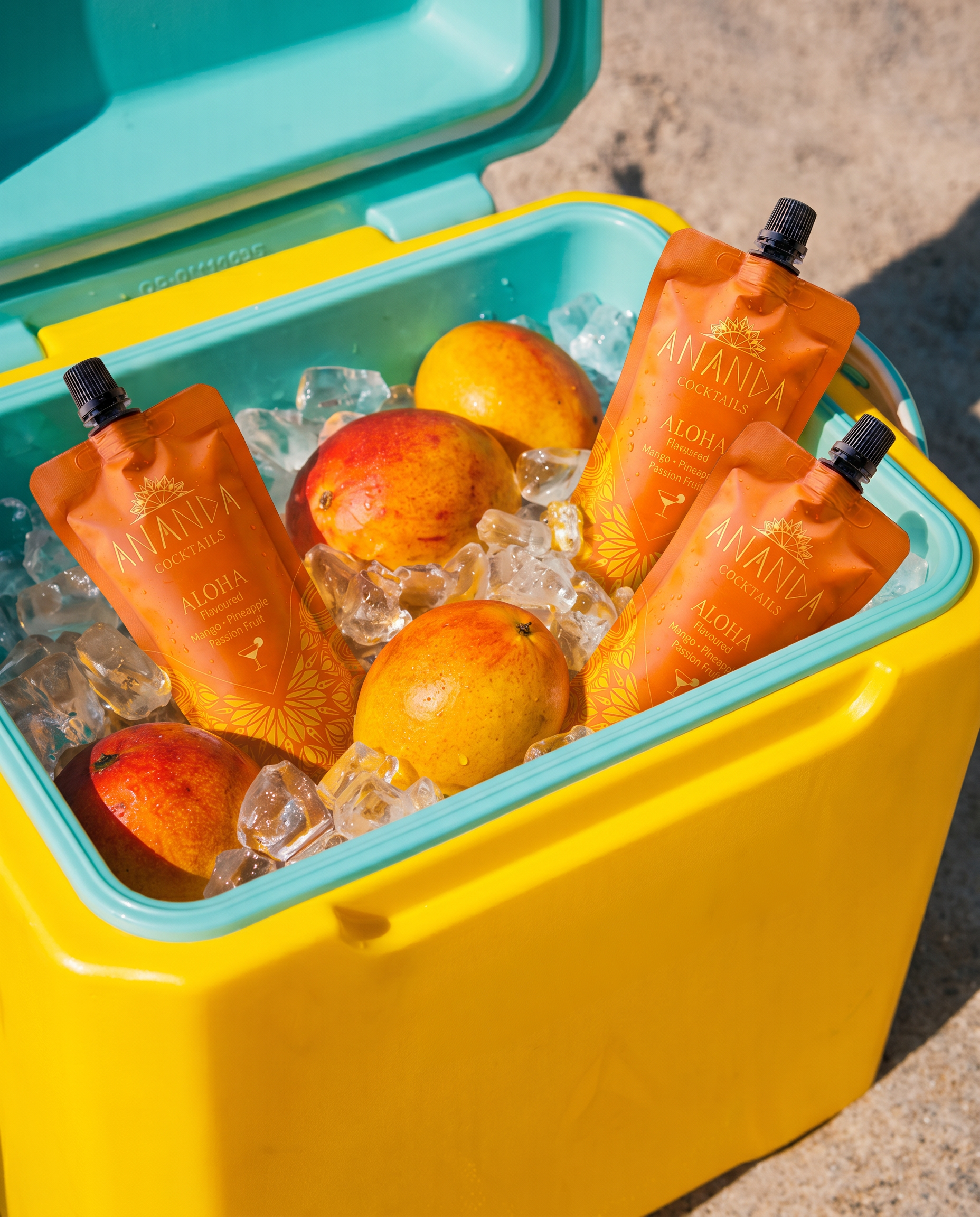 ANANDA pouches chilling in a cooler of ice